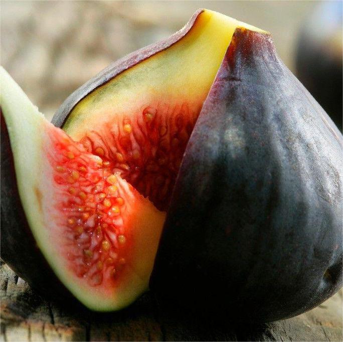 SweetHarvest fügemagok