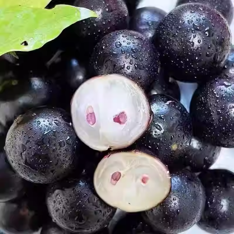 Jabuticaba szőlőmagok