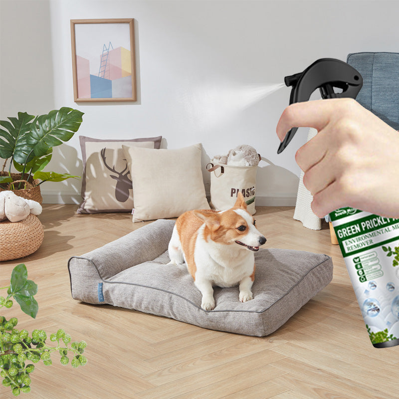 ⚡Korlátozott ideig kapható! Vásároljon 2-t, kap 1-et ingyen⚡-🧑‍⚕️Erős poratka-eltávolító spray