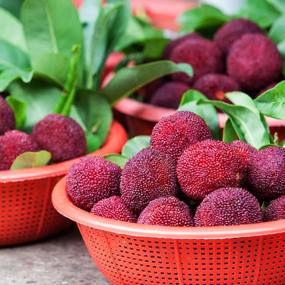 Óriás babérbogyó：Pingponglabda méretű, ⭐Eper és cseresznye ízkombinációja