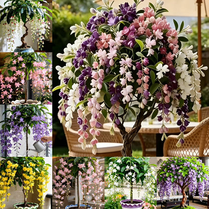 🌸【7 napos csírázás】Akár 50% kedvezmény az utolsó napra💐Ritka könnyező jázminvirágok hagymái