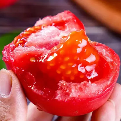 🍅🍅Nasiona pomidorów karłowych w doniczkach