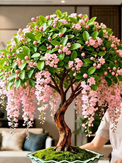 🌸【7 napos csírázás】Akár 50% kedvezmény az utolsó napra💐Ritka könnyező jázminvirágok hagymái