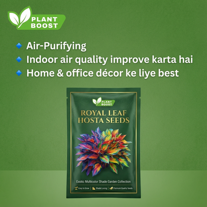 Royal Leaf vendégmagok