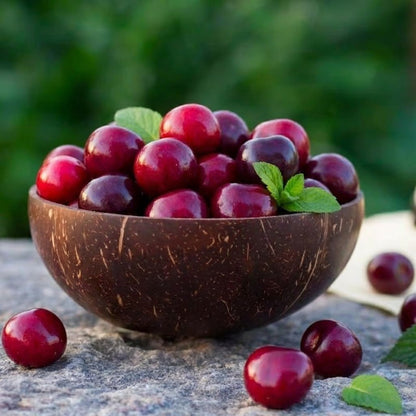 🍒 (Új szüret) Cseresznyemagok 🌿Előkezelve a magas csírázási arányért (99%-os csírázási arány)