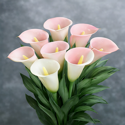 🌷Titokzatos Aurora kála