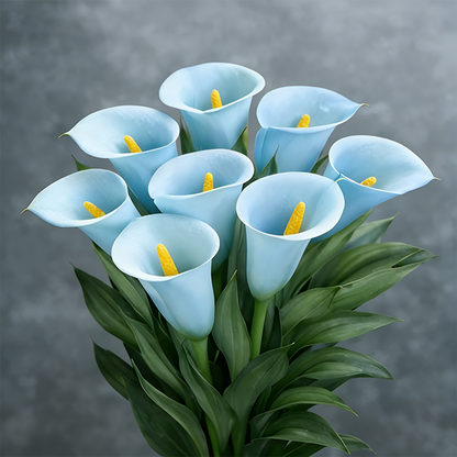 🌷Titokzatos Aurora kála