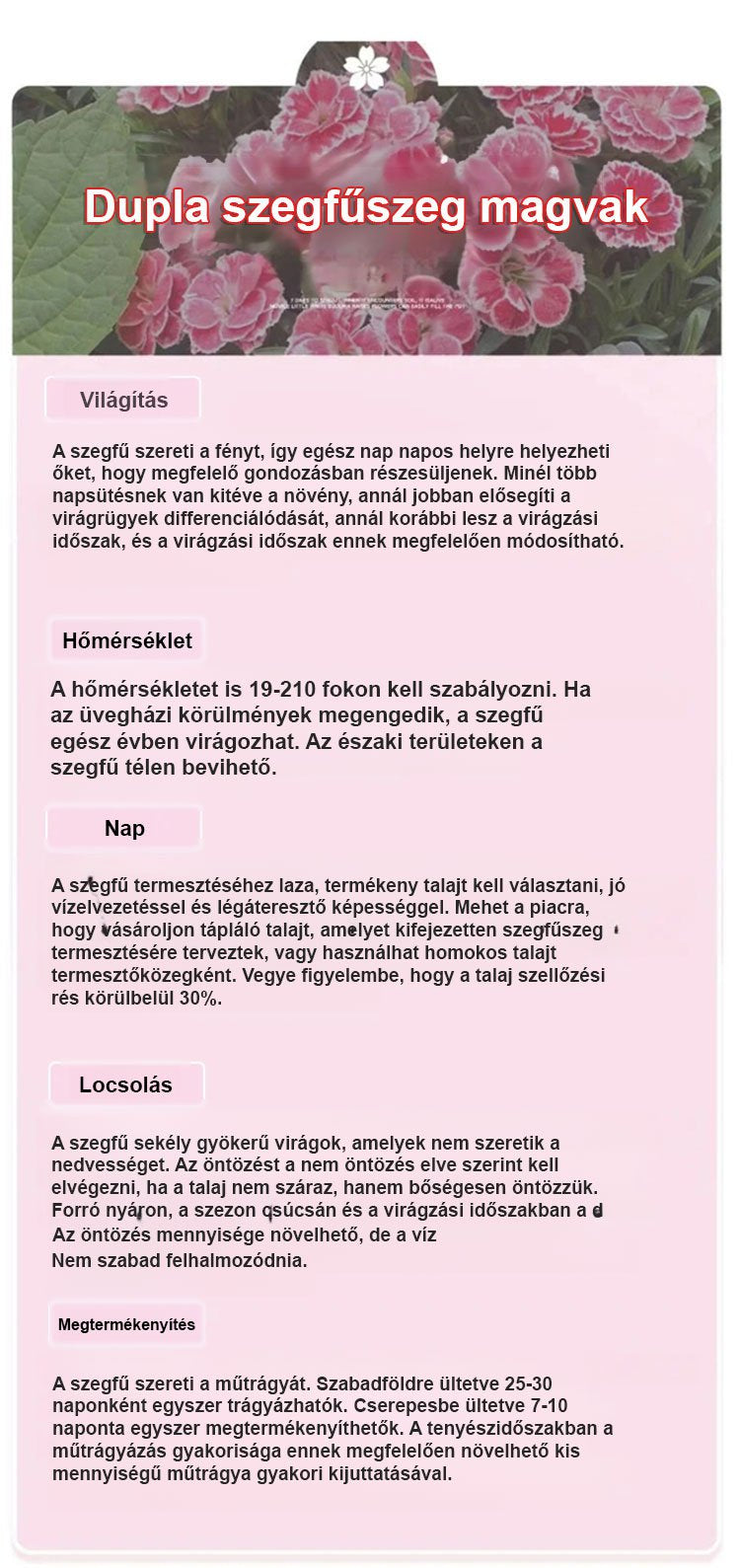 【Egész évben virágzó】dupla szirmú szegfűmagok