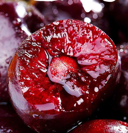 Teljes mértékben importált chilei cseresznye magvak