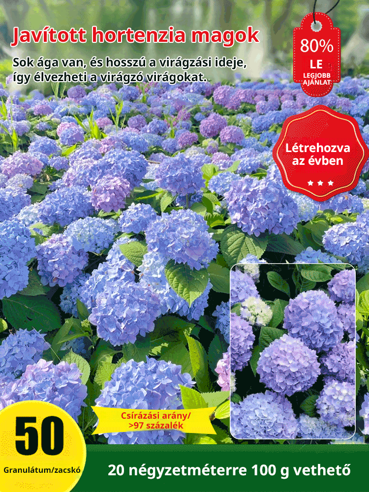 Hortenzia magok négy évszakban virágoznak.