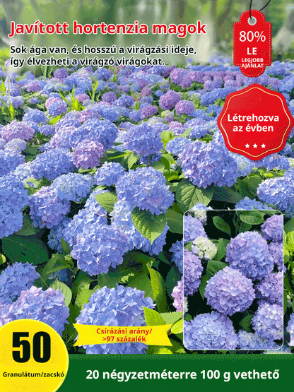 Hortenzia magok négy évszakban virágoznak.