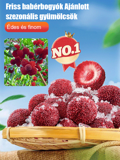 Keleti eperfa magvak ültetése házi kertben