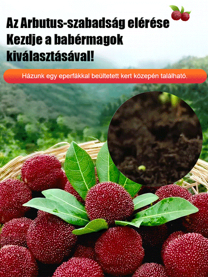 Keleti eperfa magvak ültetése házi kertben