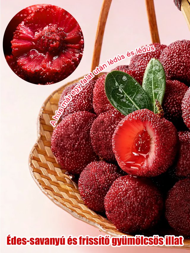 Keleti eperfa magvak ültetése házi kertben