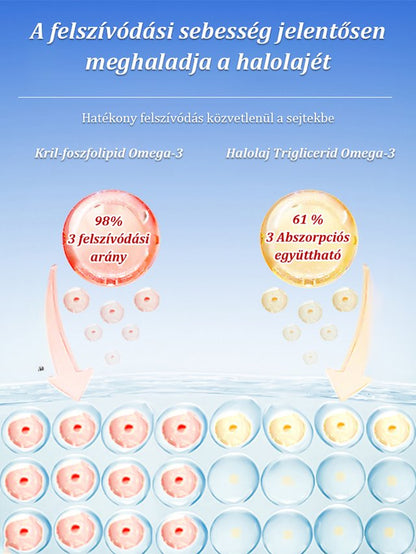 15 nap alatt egészséges ereket biztosít】Antarktiszi krill olaj kapszula