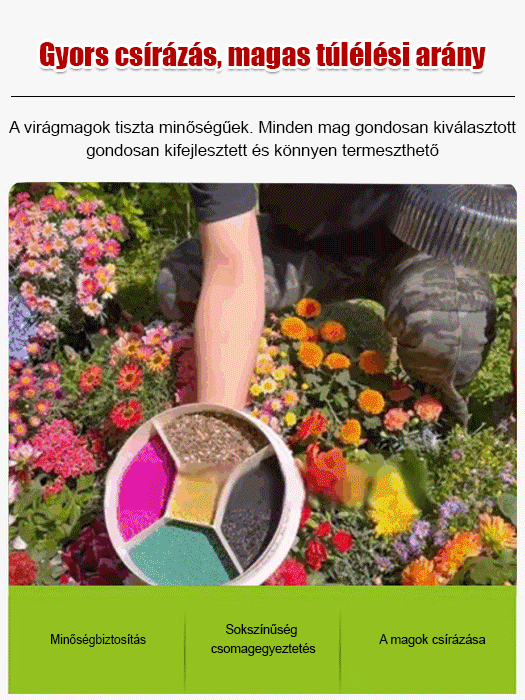 【Négyszezonos virágzás】Virágmező magkeverék