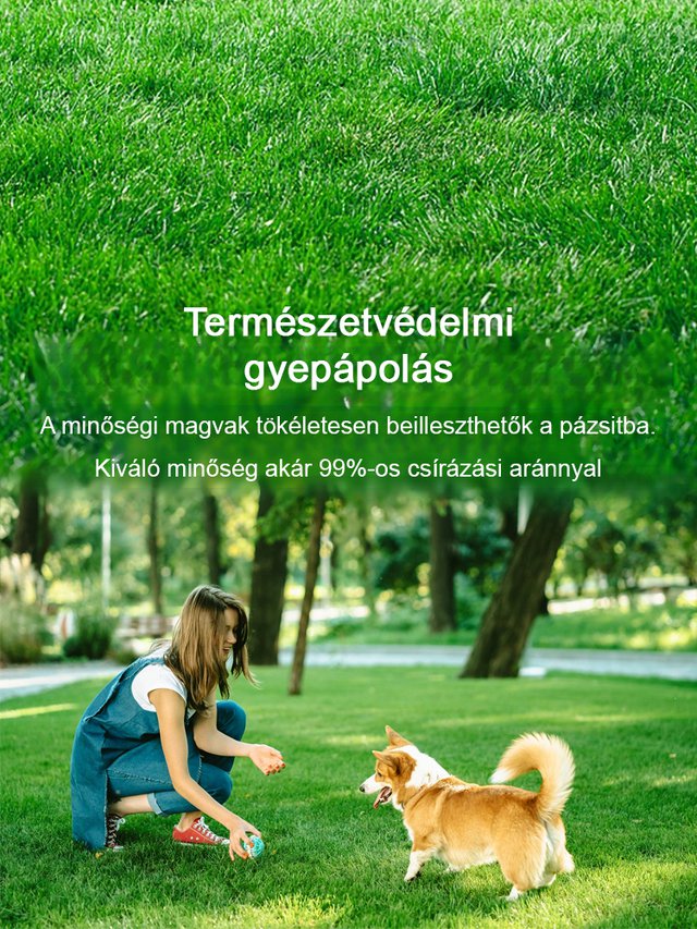 7 napos, gyorsan növő zöld fű egész évben