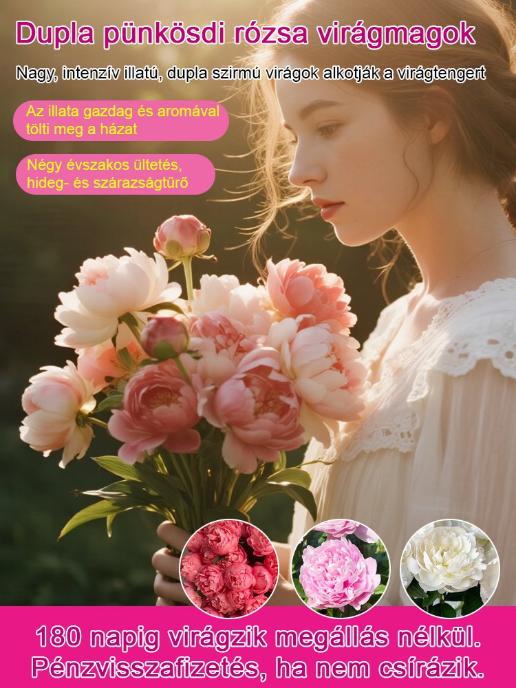 Válogatott bazsarózsa magok