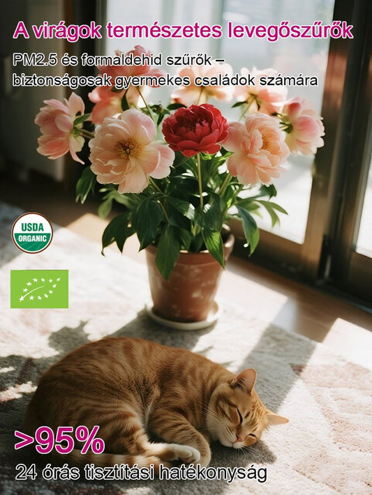 Válogatott bazsarózsa magok