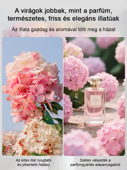 Négy évszakos eper hortenzia magok