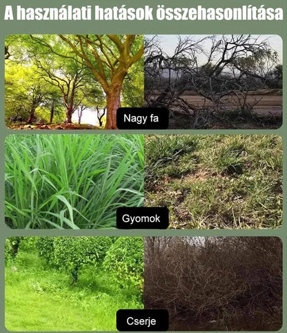 Egy tűs piridoxál-kinon előkészítő szer