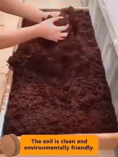 【Tíz évig nem igényel műtrágyázást】Kertészeti kókuszrost tápanyagföld
