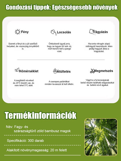 【Levegőtisztító】Fagy- és aszálytűrő zöld bambuszmagok
