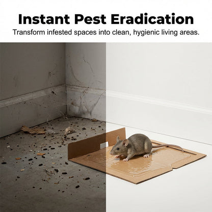 🐀 Nagyon ragadós egérfogó ragasztó – Hatékony, biztonságos, beltérben és kültéren is 🔥
