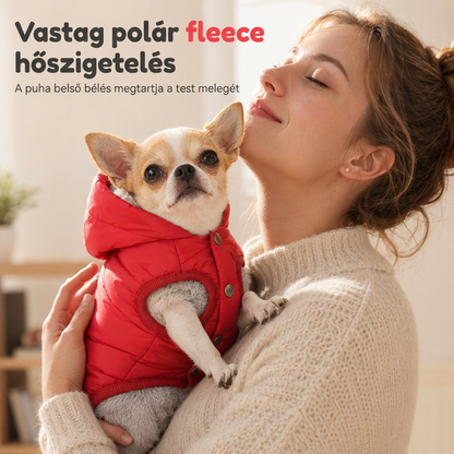 🐾 ✨ Kapucnis kutyakabát – béléses gyapjúval, szélálló 🧥