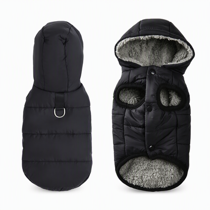 🐾 ✨ Kapucnis kutyakabát – béléses gyapjúval, szélálló 🧥