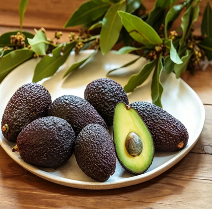 🍃 Heirloom Manor sorozat: 13 válogatott gyümölcsmagból álló készlet (nem GMO) 🌳 – Legnépszerűbb termék