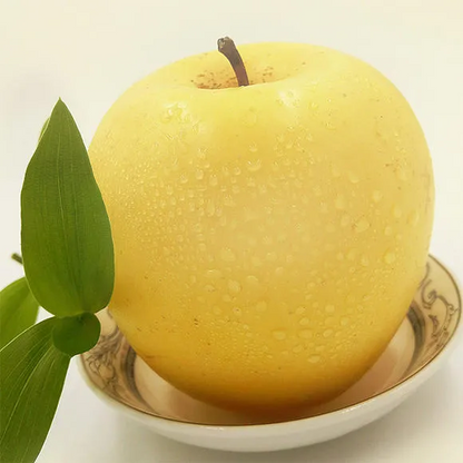 Aranyalma magvak, 90%-os túlélési arány