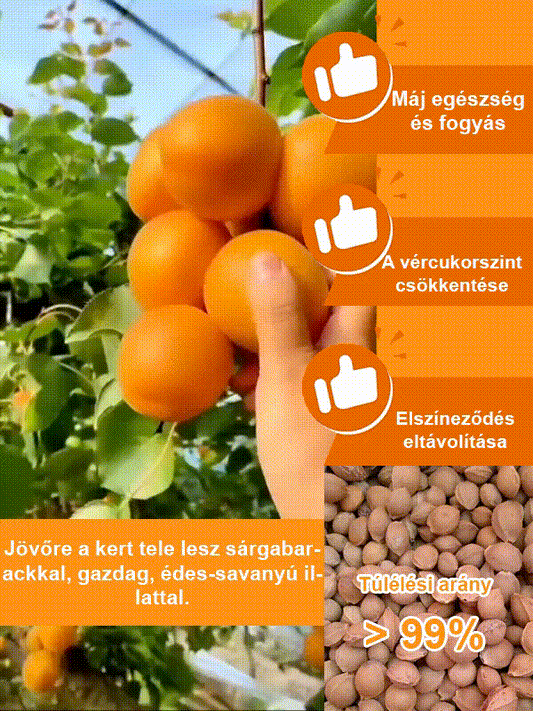 Nagy gyümölcsű, korán érő, bőtermő, édes császári sárgabarack mag