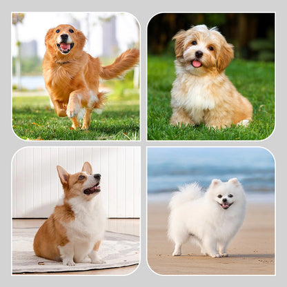 🐶2 pár csúszásmentes, vízálló kutyazokni