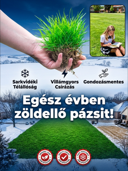 【Csírázási arány 99%】Négyszezonos fagyálló pázsitmag